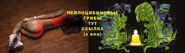 ГАЛЛЮЦИНОГЕННЫЕ ГРИБЫ Алексин