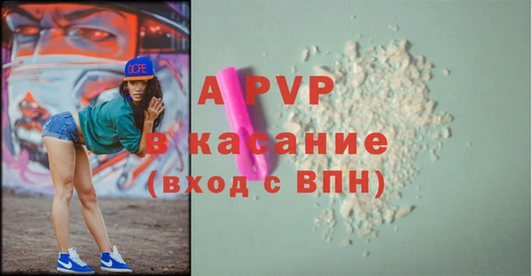 стафф Алзамай