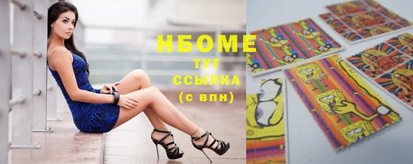 стафф Алзамай