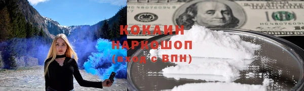 стафф Алзамай